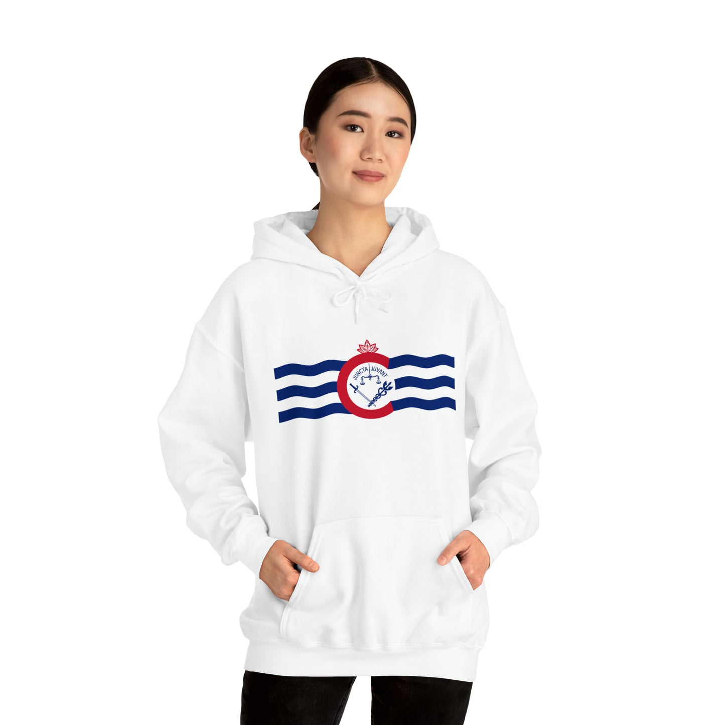 Cincinnati Flag, Unisex Heavy Blend™ Hooded Sweatshirt