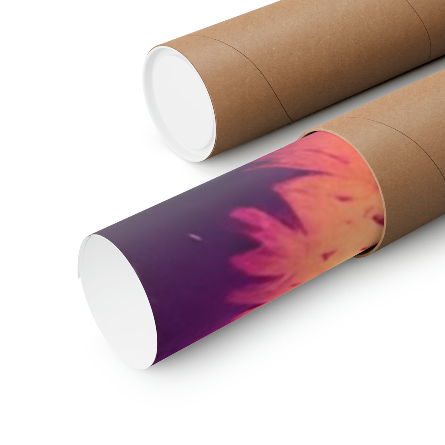 Cactus, Premium Matte Vertical Posters