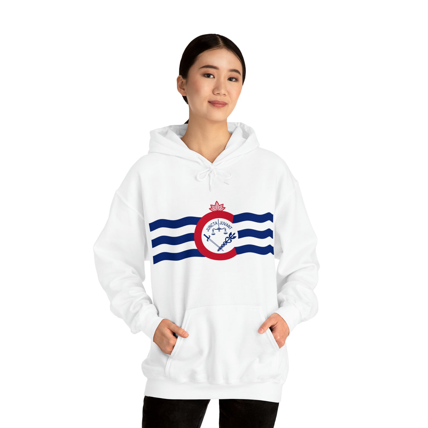 Cincinnati Flag, Unisex Heavy Blend™ Hooded Sweatshirt