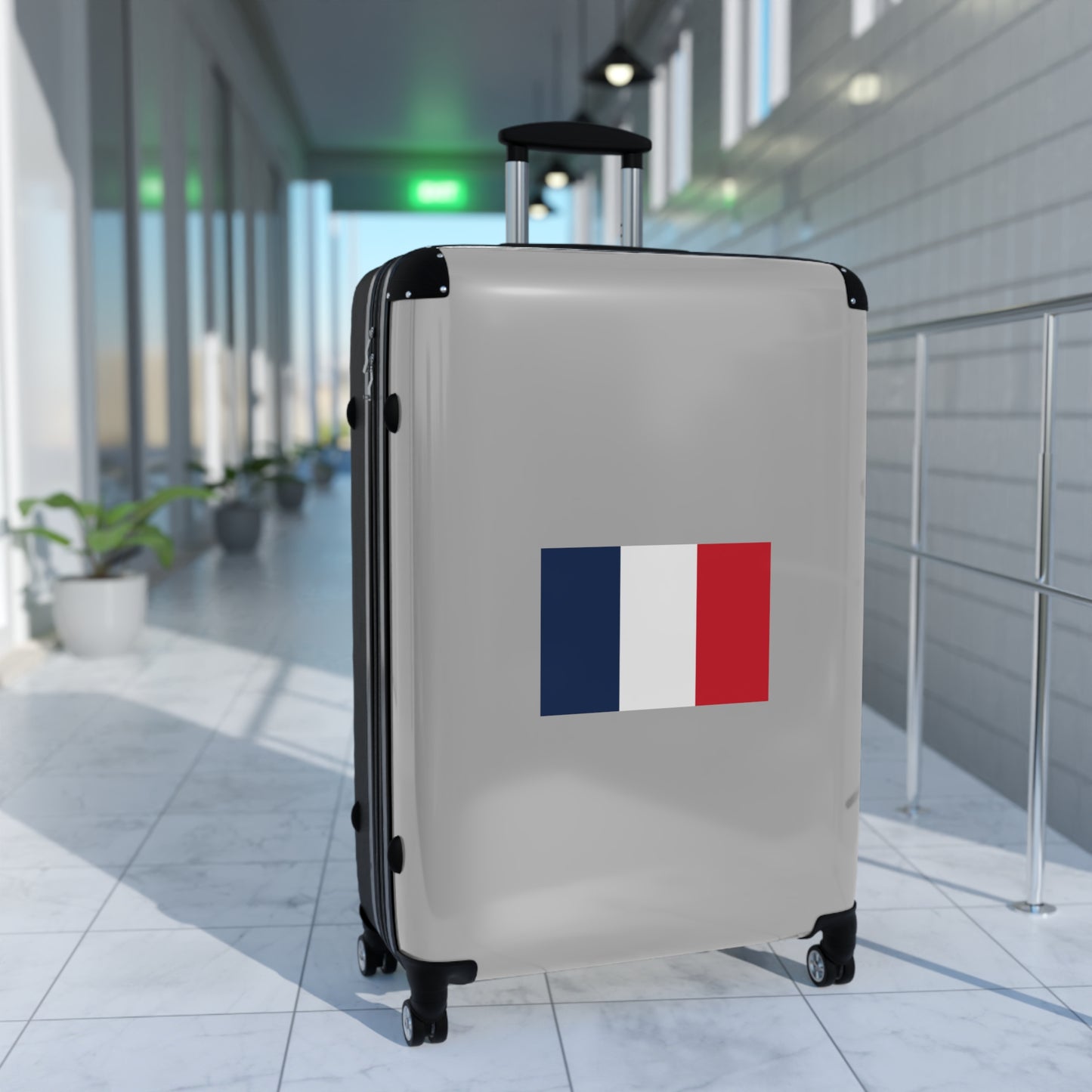 French Flag Suitcase