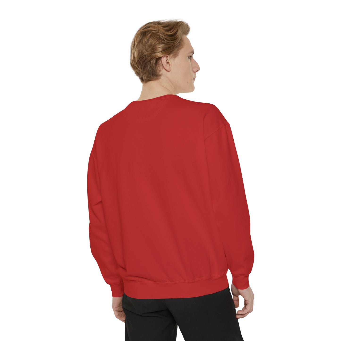 BIKE Unisex Garment-Dyed Sweatshirt