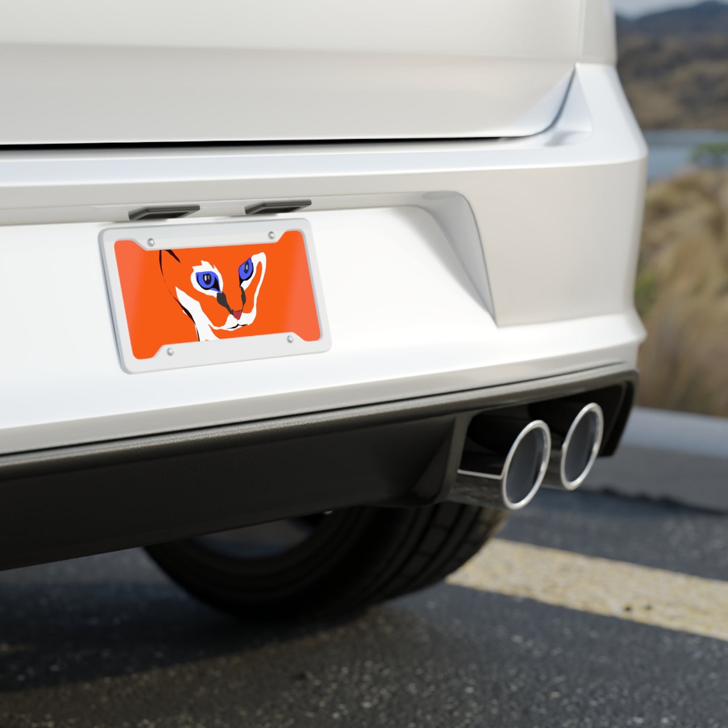 Cat License Plate