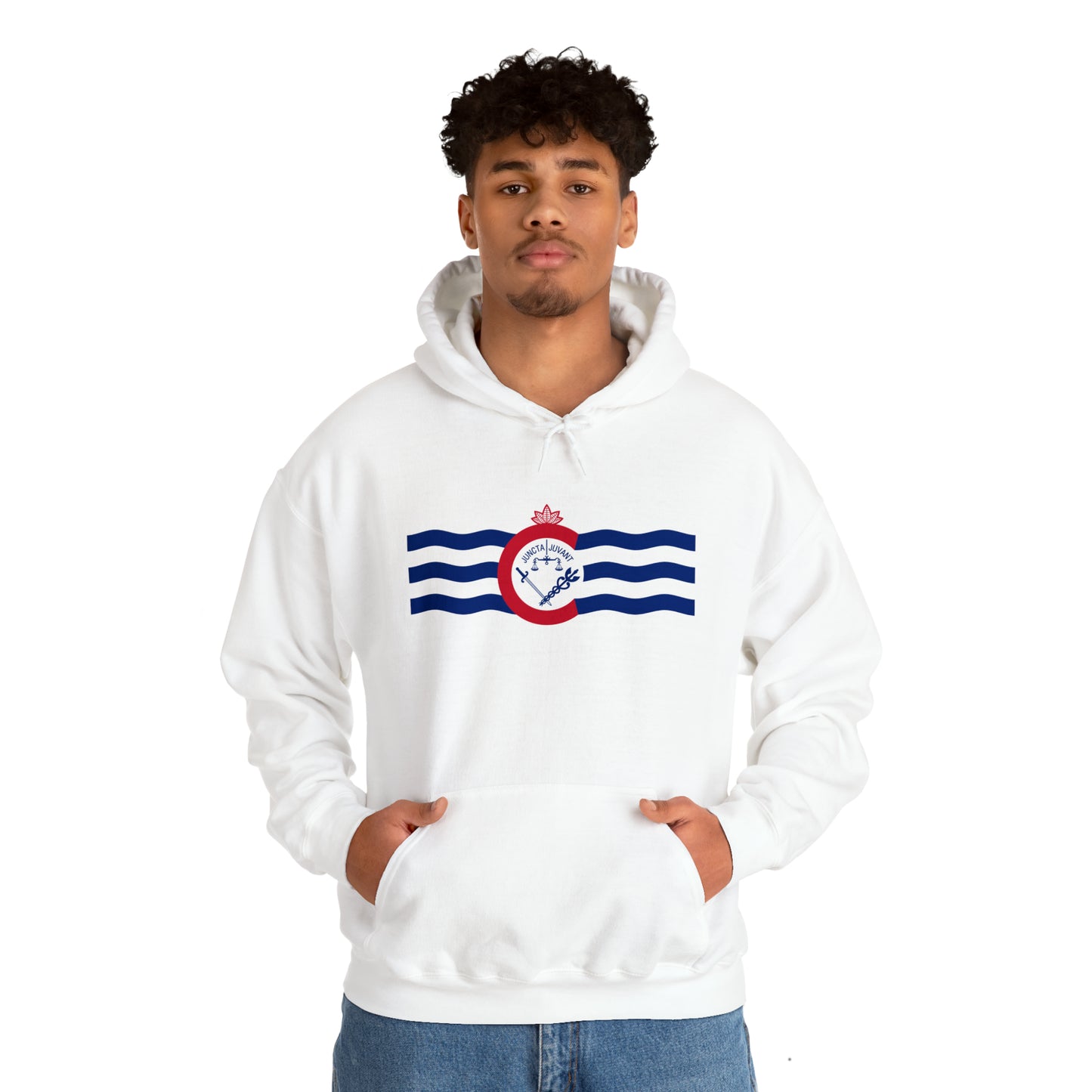 Cincinnati Flag, Unisex Heavy Blend™ Hooded Sweatshirt