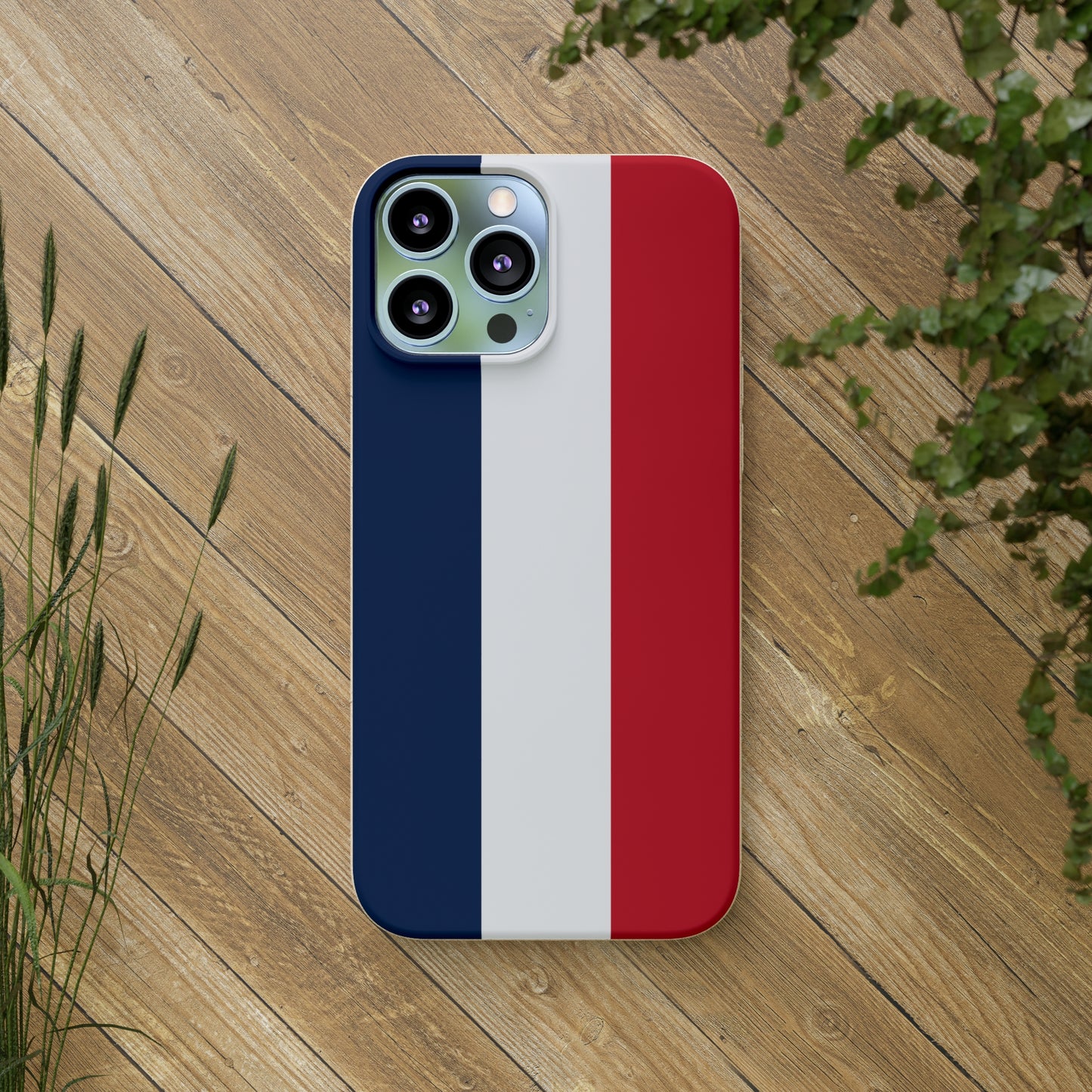 Biodegradable Cases, French Tricolour