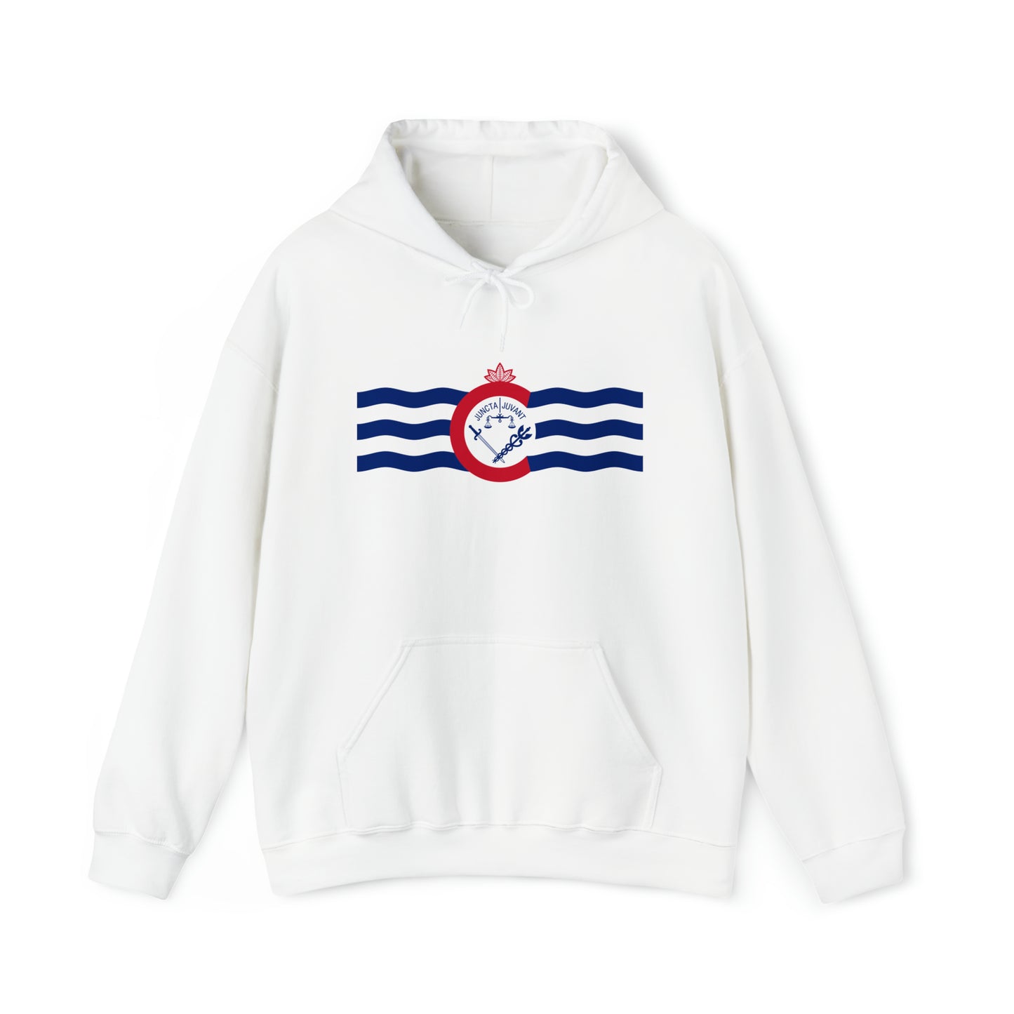 Cincinnati Flag, Unisex Heavy Blend™ Hooded Sweatshirt