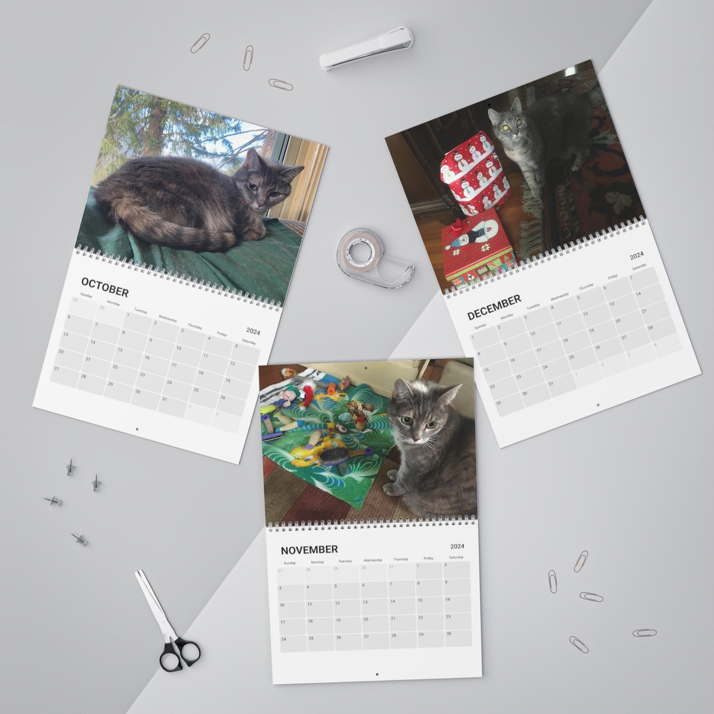 Kitty Calendar (2024)