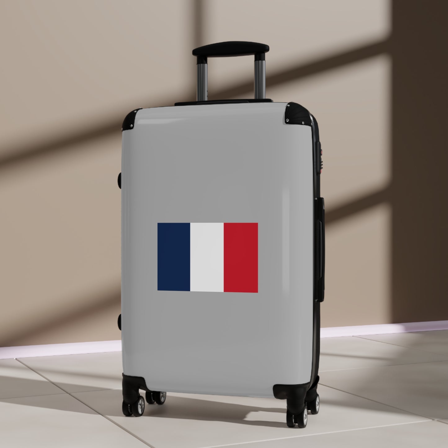 French Flag Suitcase