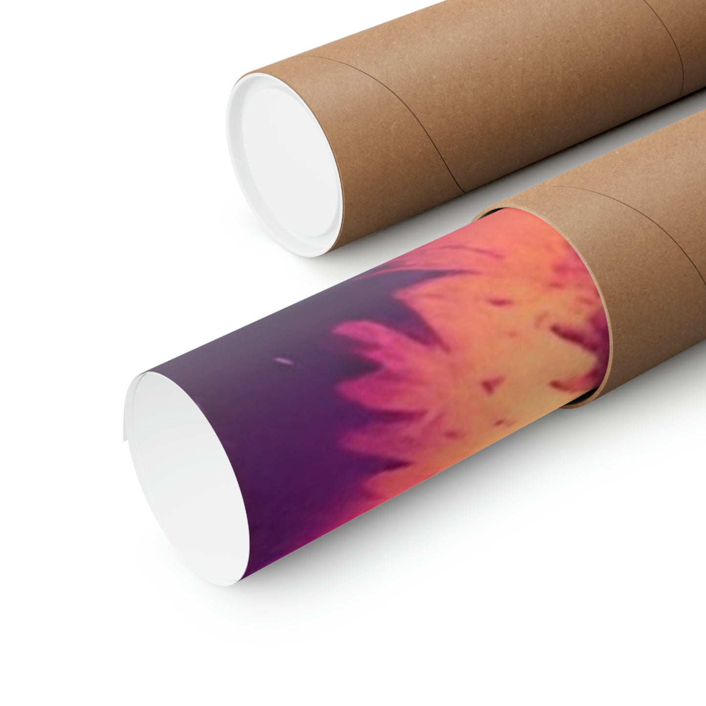 Cactus, Premium Matte Vertical Posters