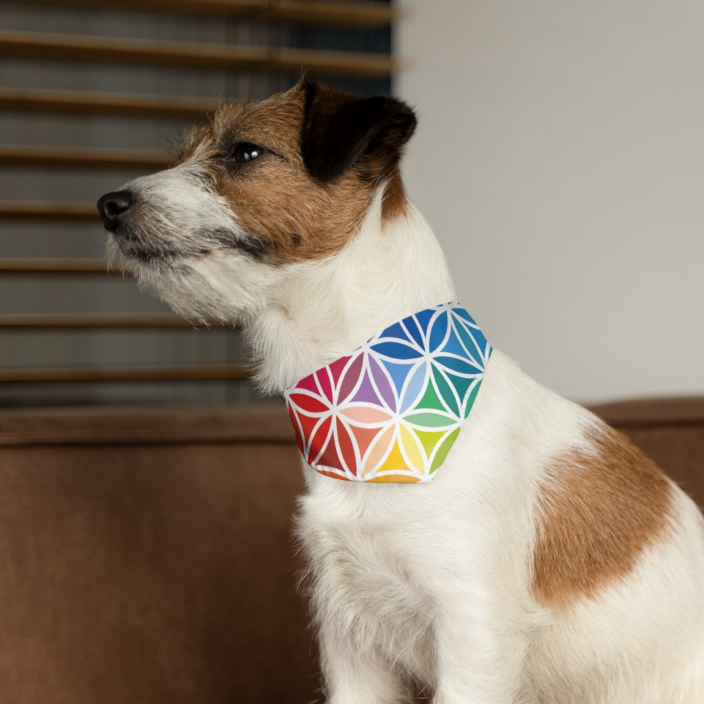 Pet Bandana Collar - Flower of Life