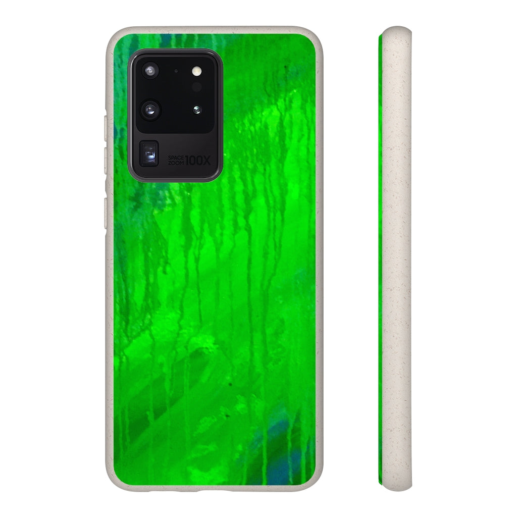 Biodegradable Case - Abstract