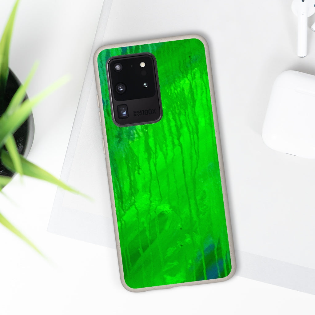 Biodegradable Case - Abstract