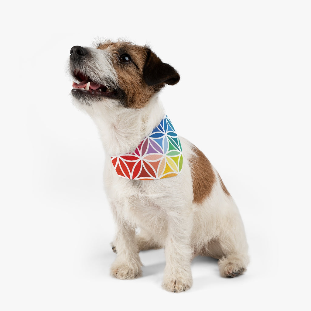 Pet Bandana Collar - Flower of Life