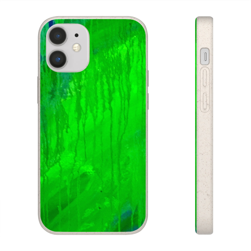 Biodegradable Case - Abstract