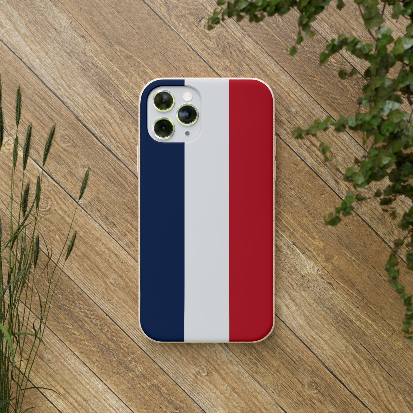 Biodegradable Cases, French Tricolour