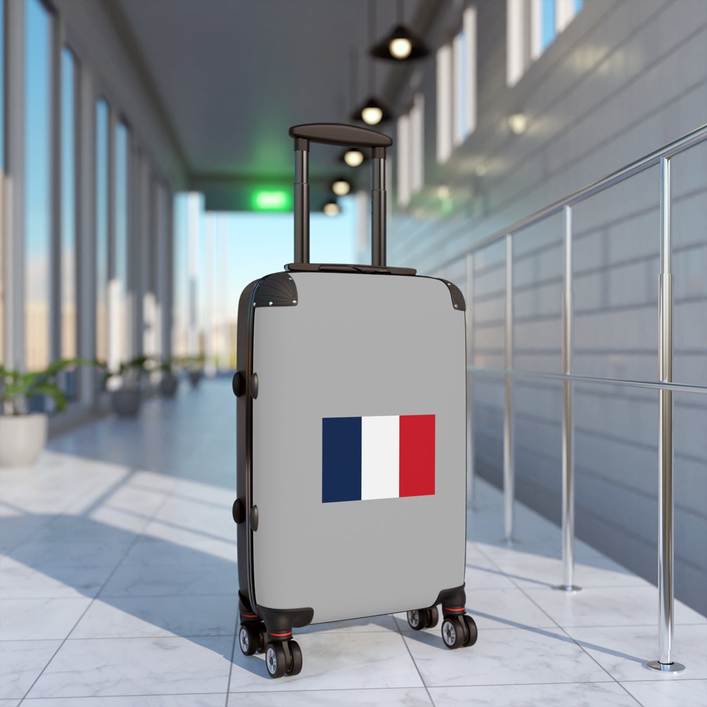 French Flag Suitcase