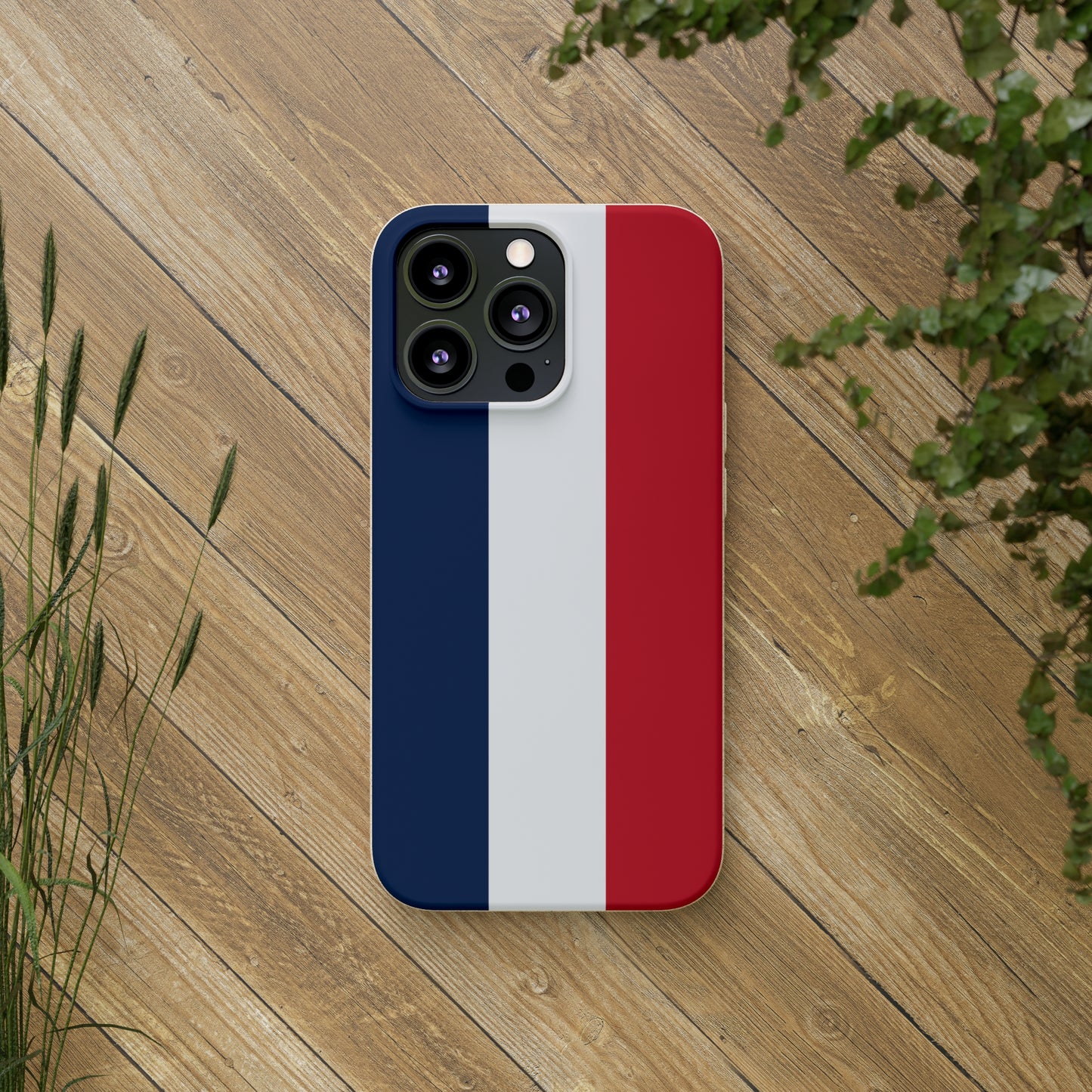 Biodegradable Cases, French Tricolour