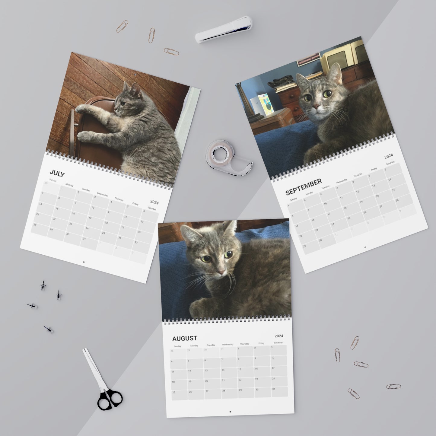 Kitty Calendar (2024)