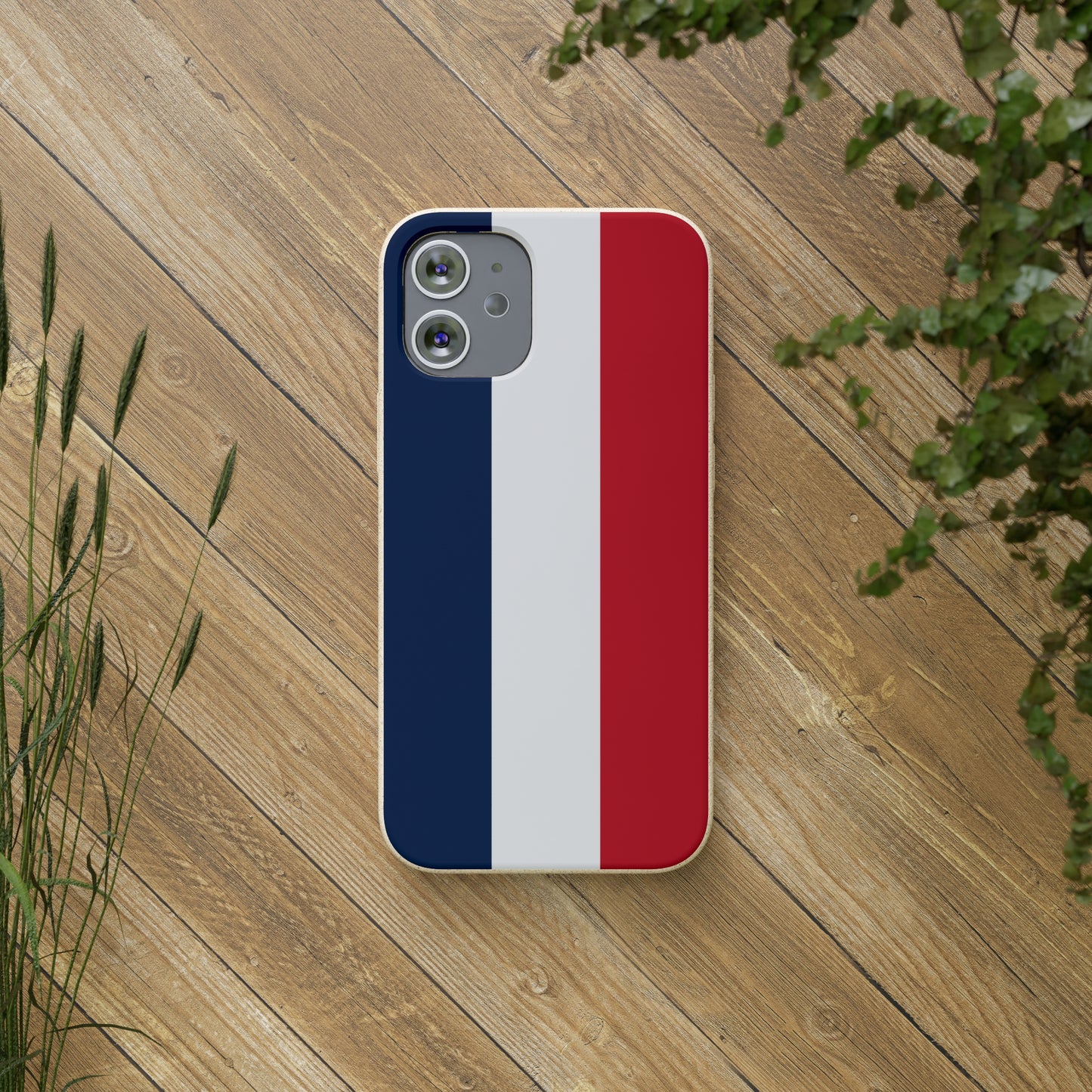 Biodegradable Cases, French Tricolour
