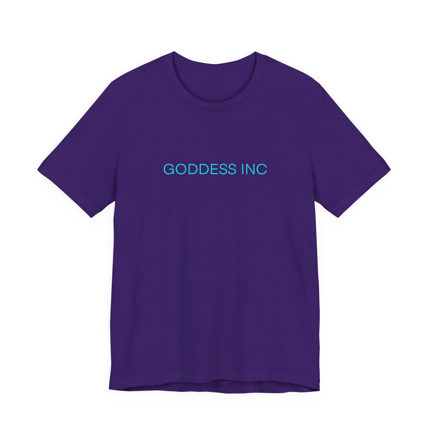 GODDESS INC Jersey Short Sleeve Tee