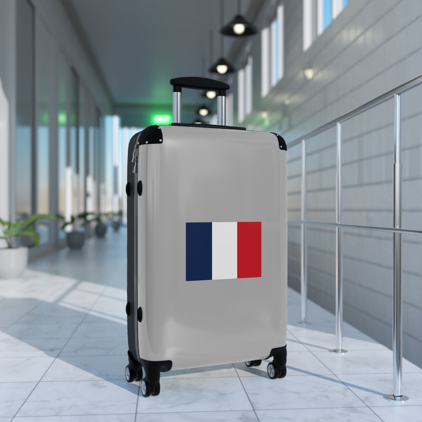 French Flag Suitcase