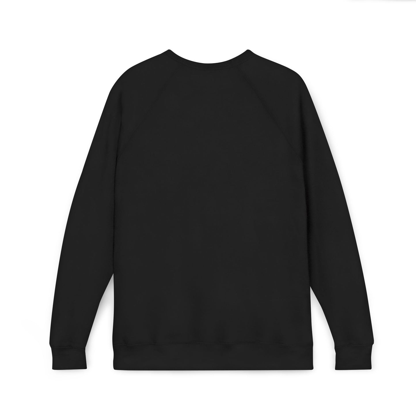 GODDESS INC Sponge Fleece Raglan Sweatshirt