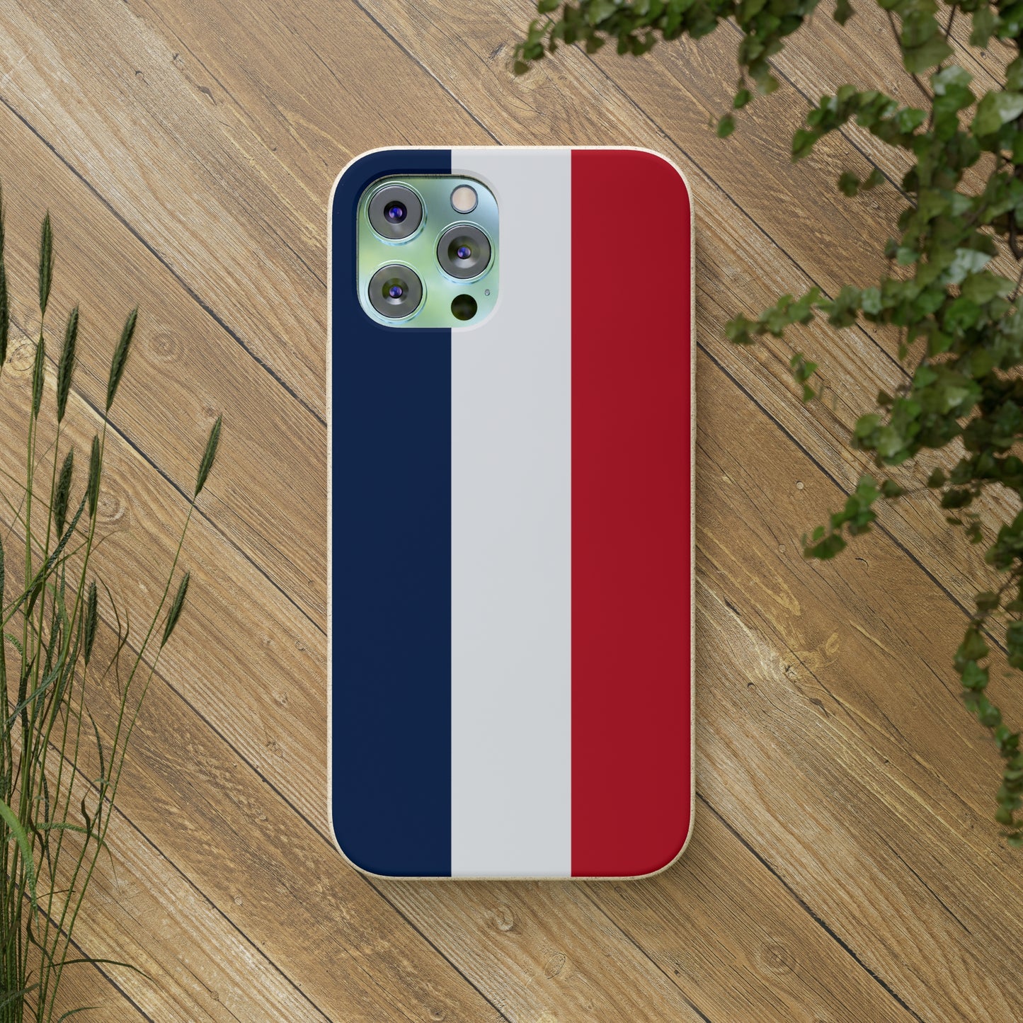 Biodegradable Cases, French Tricolour