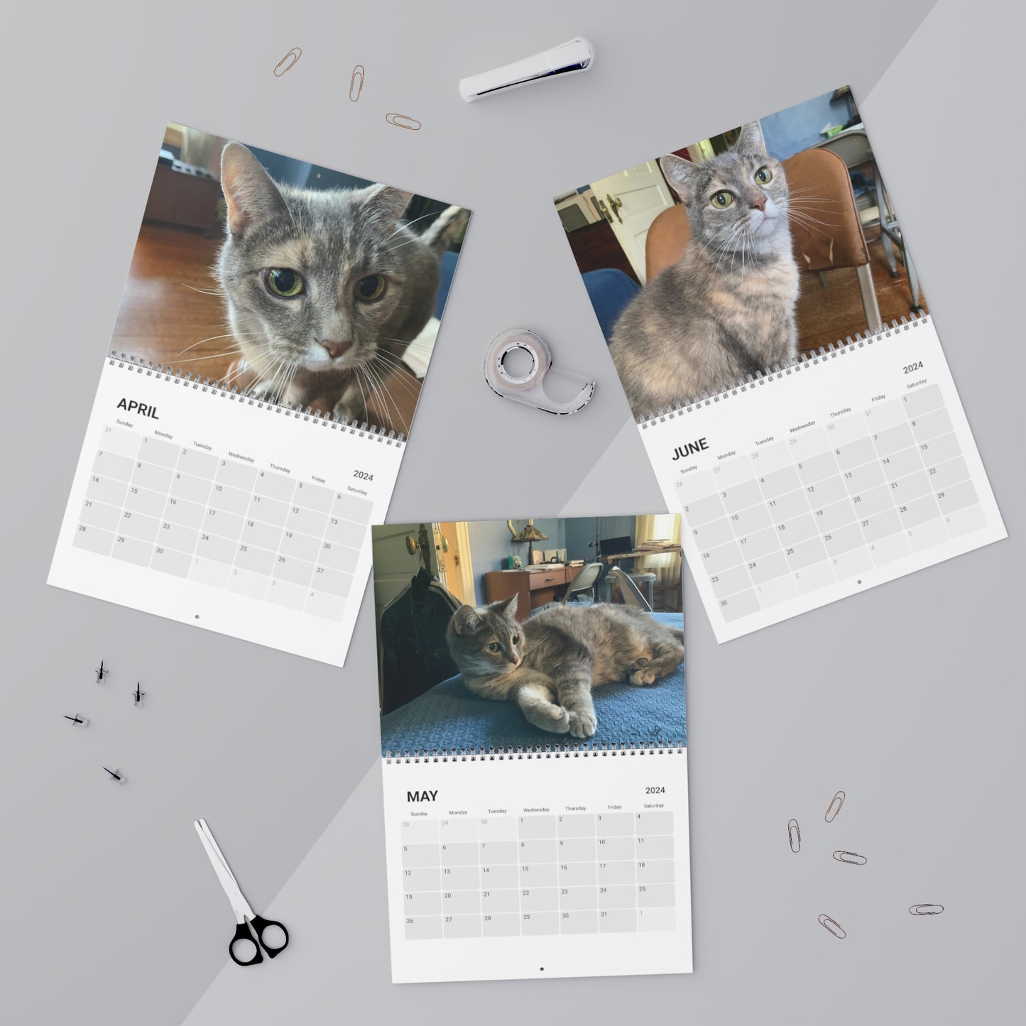 Kitty Calendar (2024)