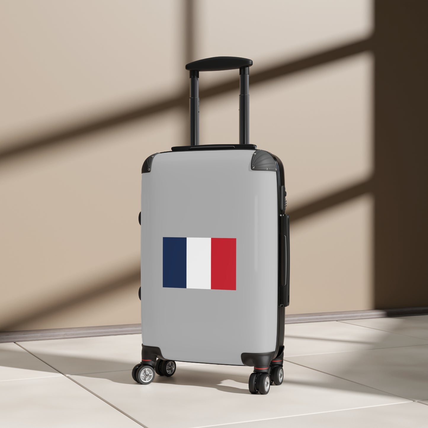 French Flag Suitcase