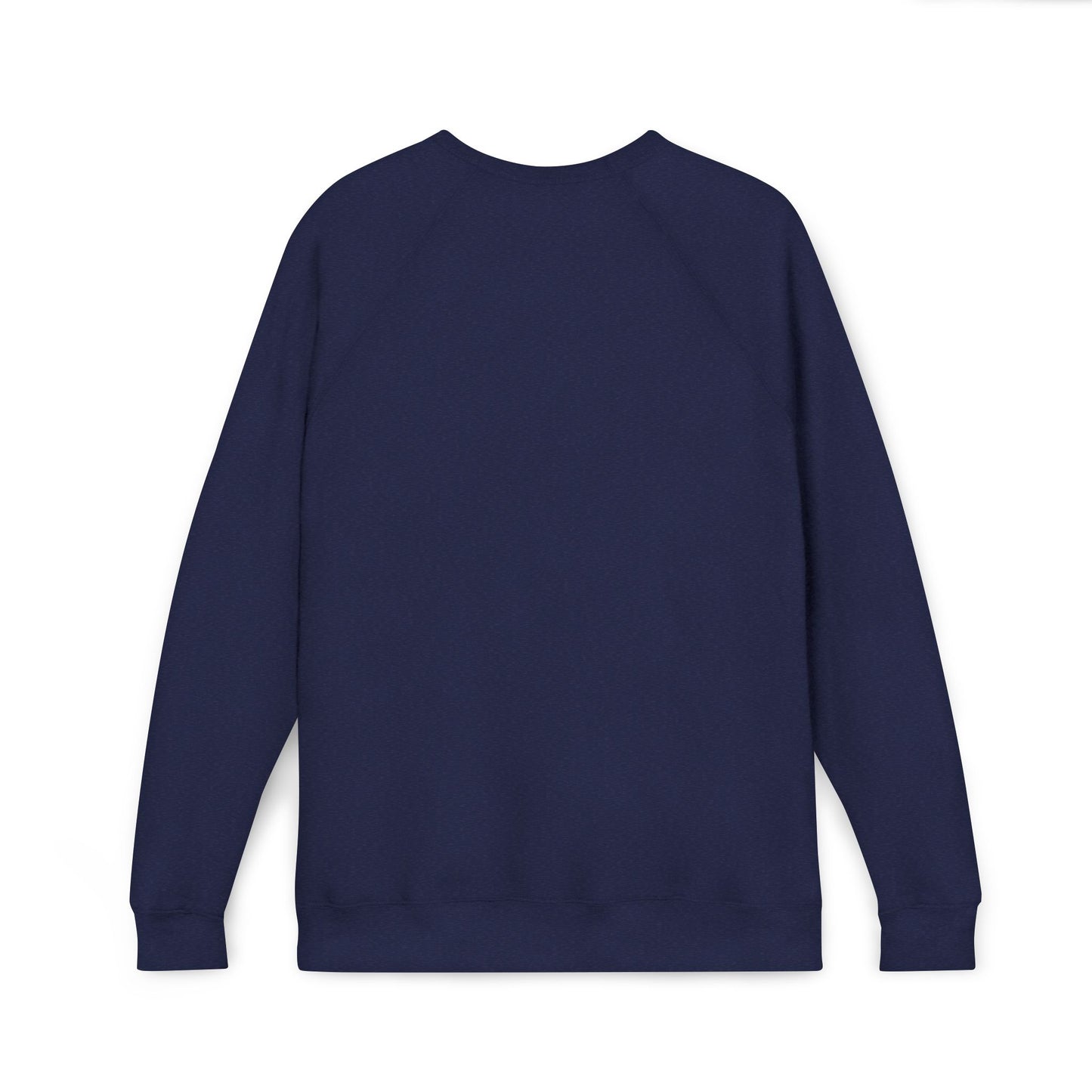 GODDESS INC Sponge Fleece Raglan Sweatshirt