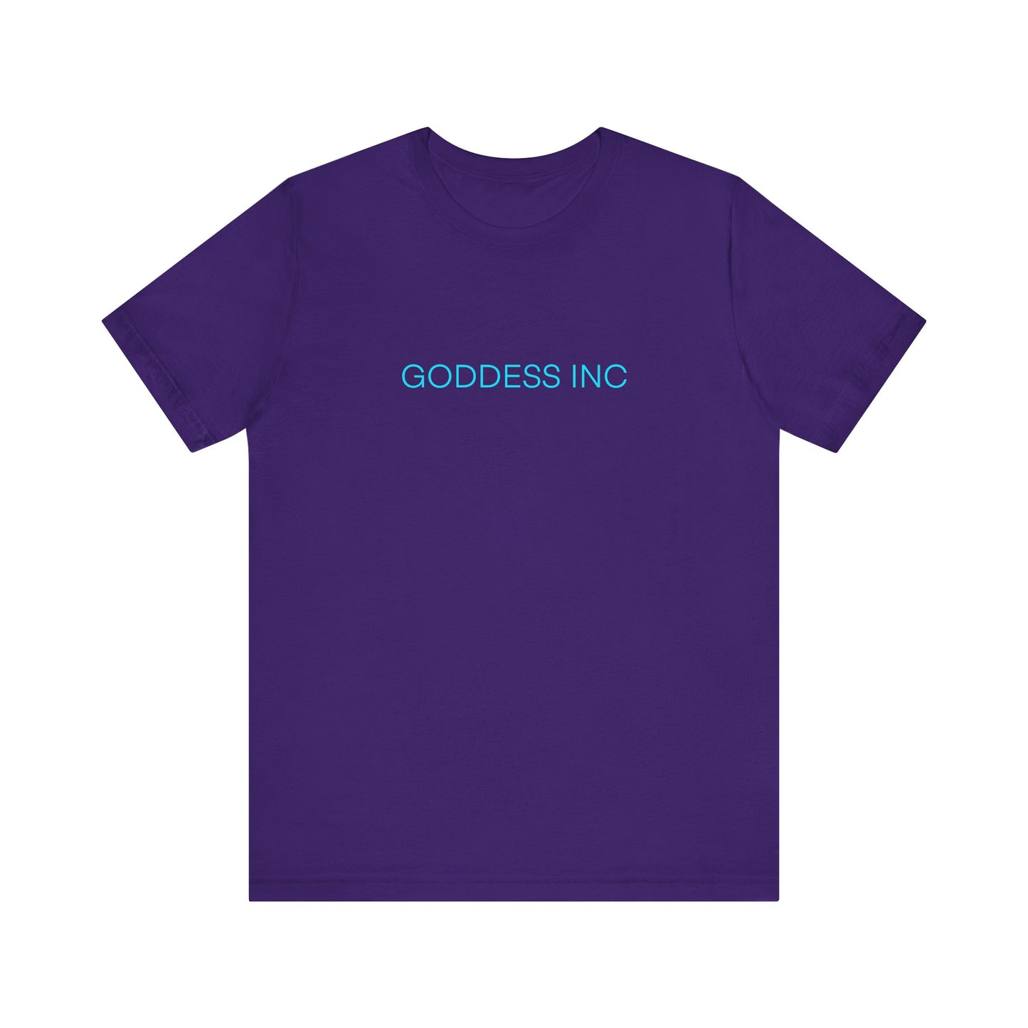 GODDESS INC Jersey Short Sleeve Tee