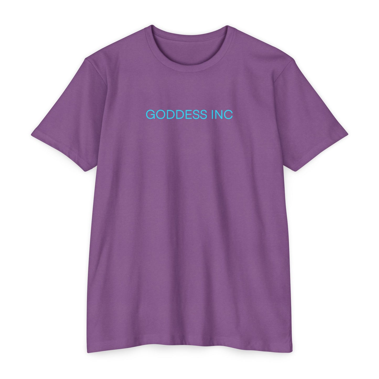 GODDESS INC CVC Jersey T-shirt