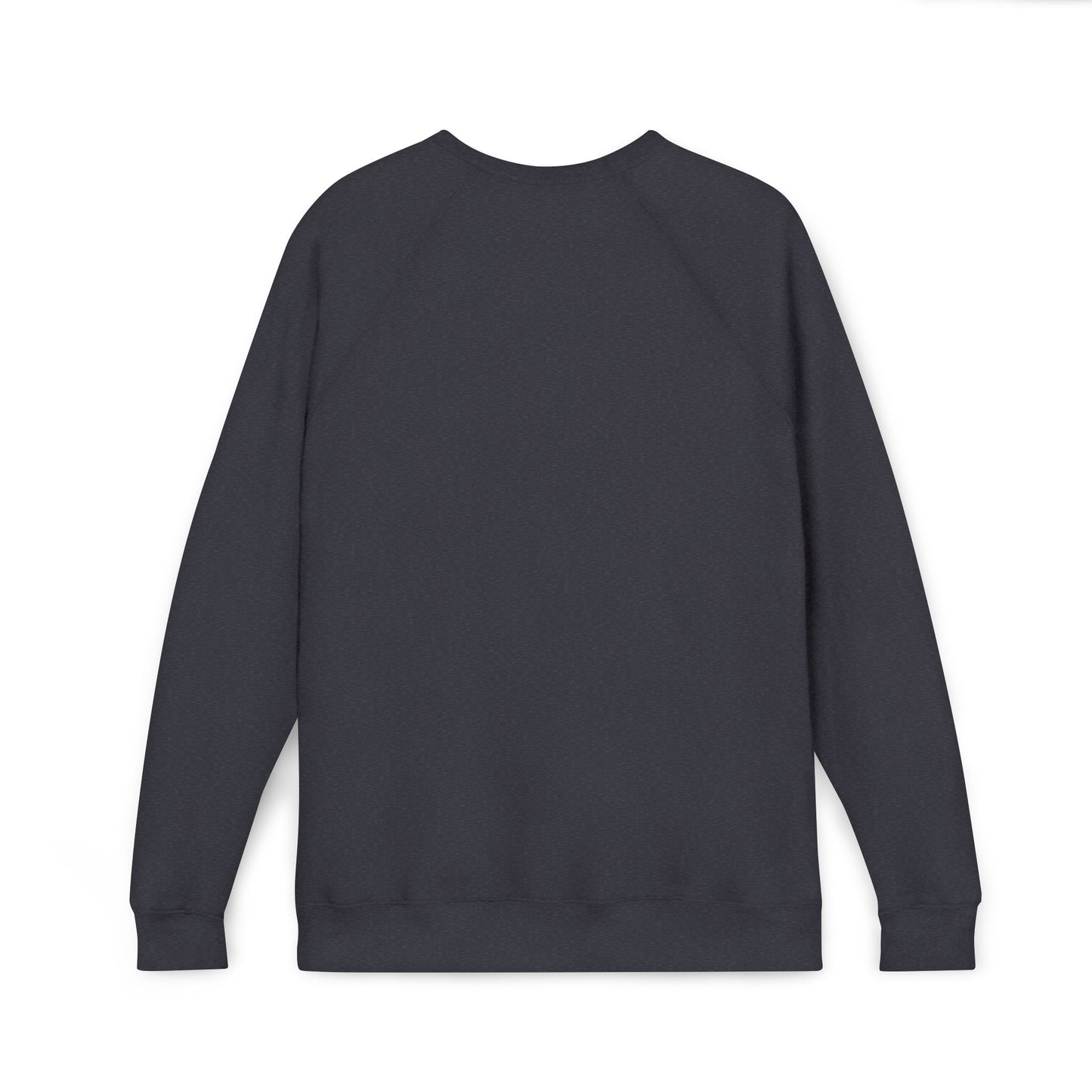 GODDESS INC Sponge Fleece Raglan Sweatshirt