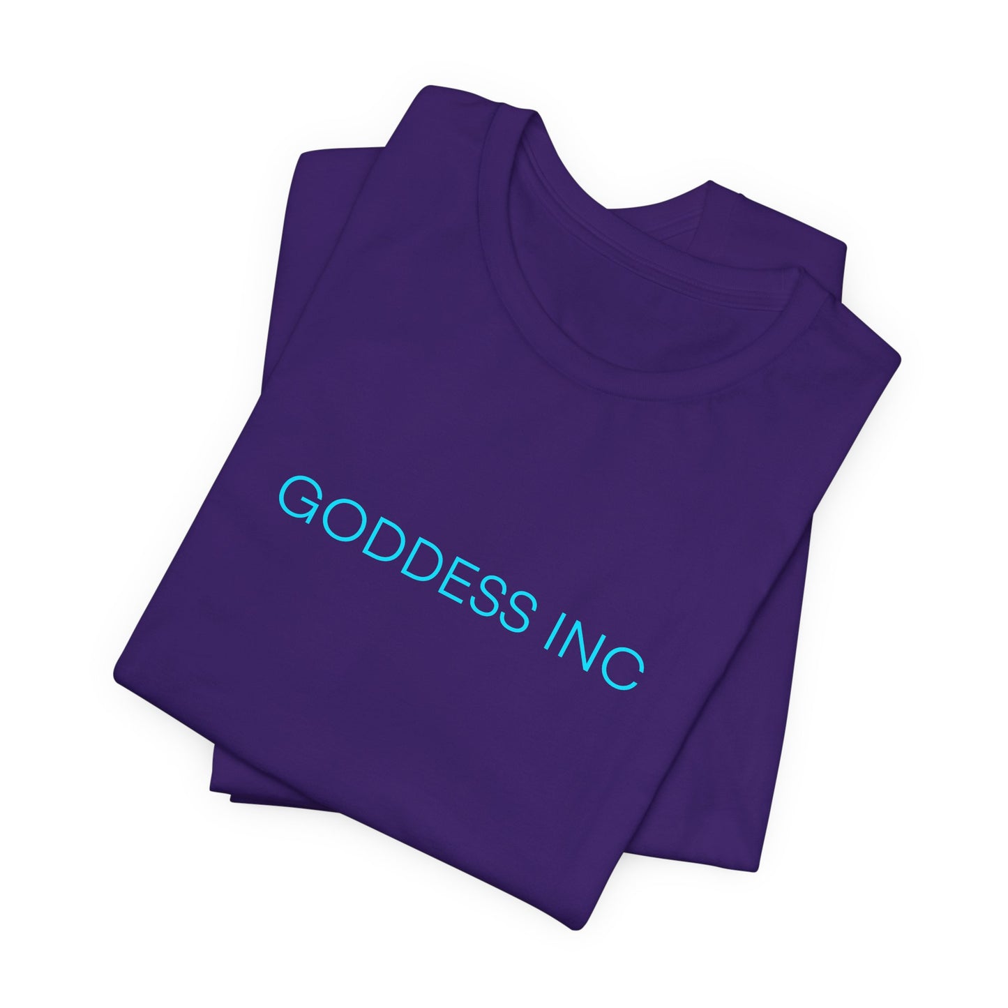 GODDESS INC Jersey Short Sleeve Tee