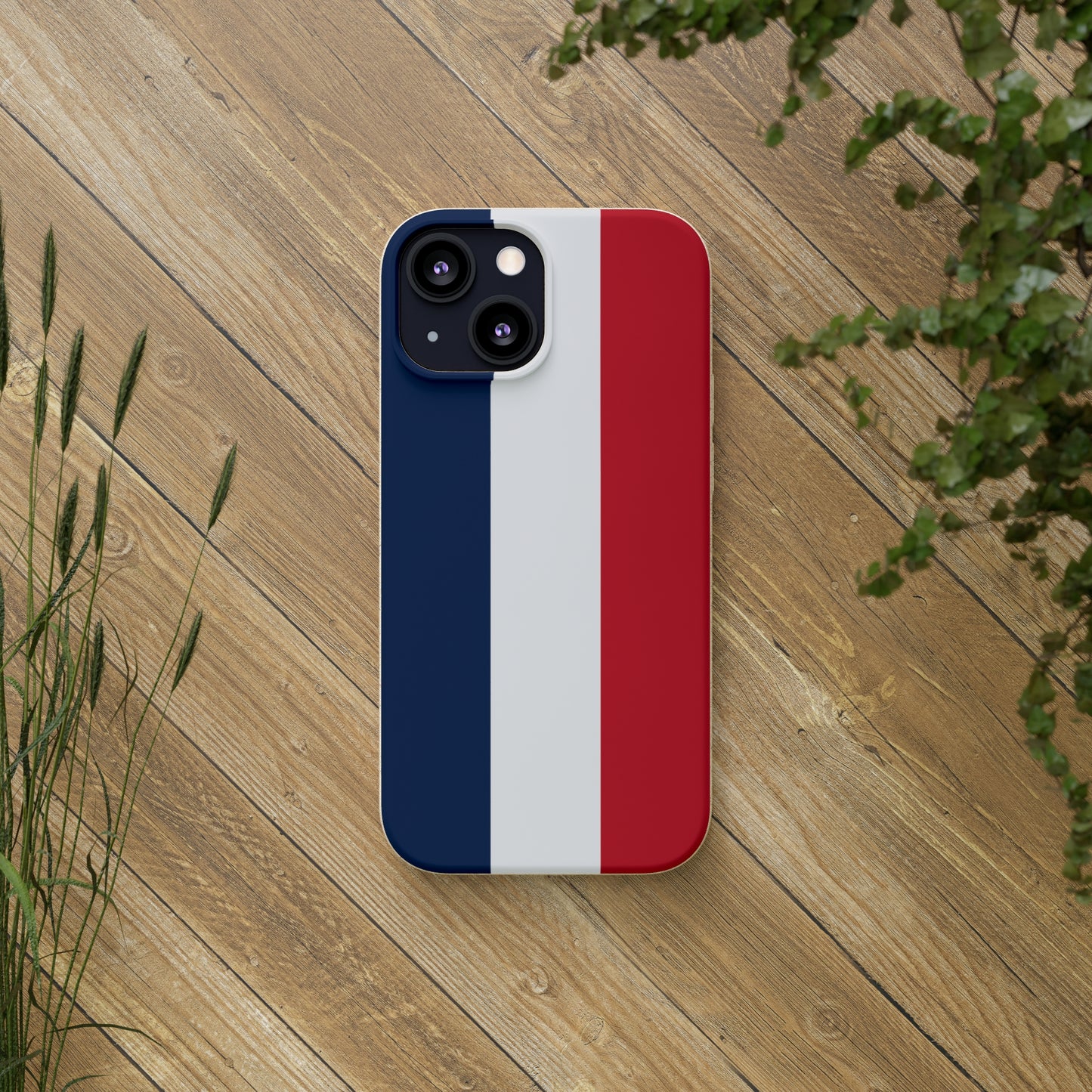 Biodegradable Cases, French Tricolour