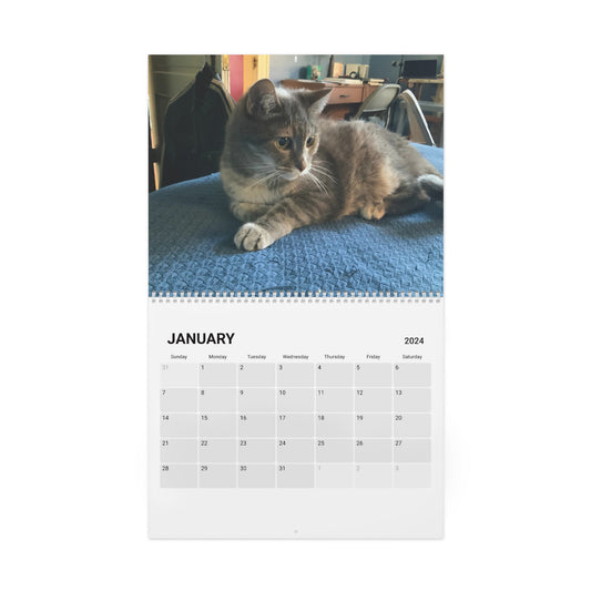 Kitty Calendar (2024)