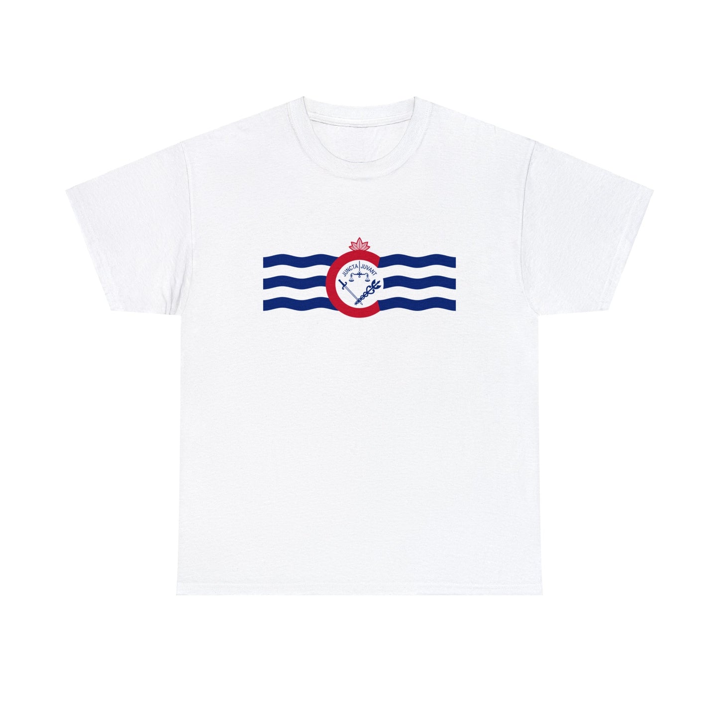 Cincinnati Flag, Unisex Heavy Cotton Tee