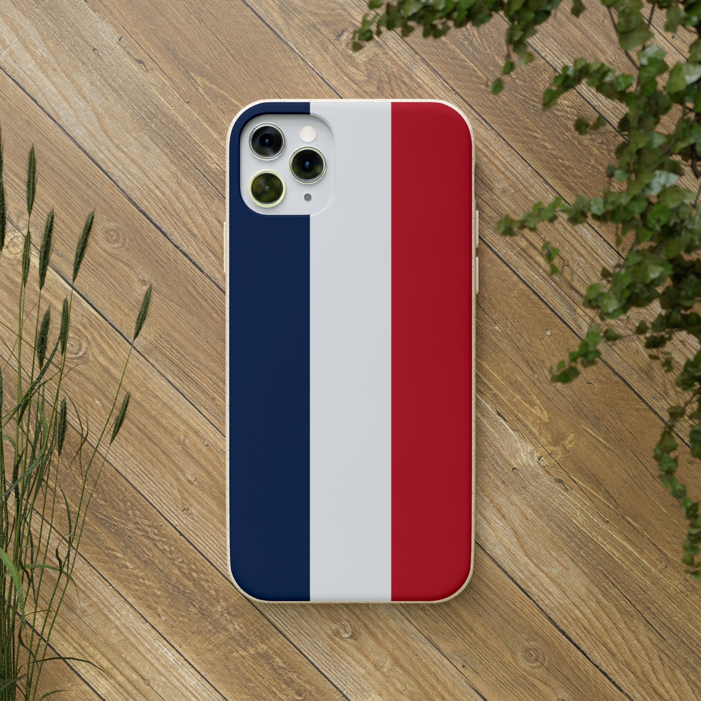 Biodegradable Cases, French Tricolour