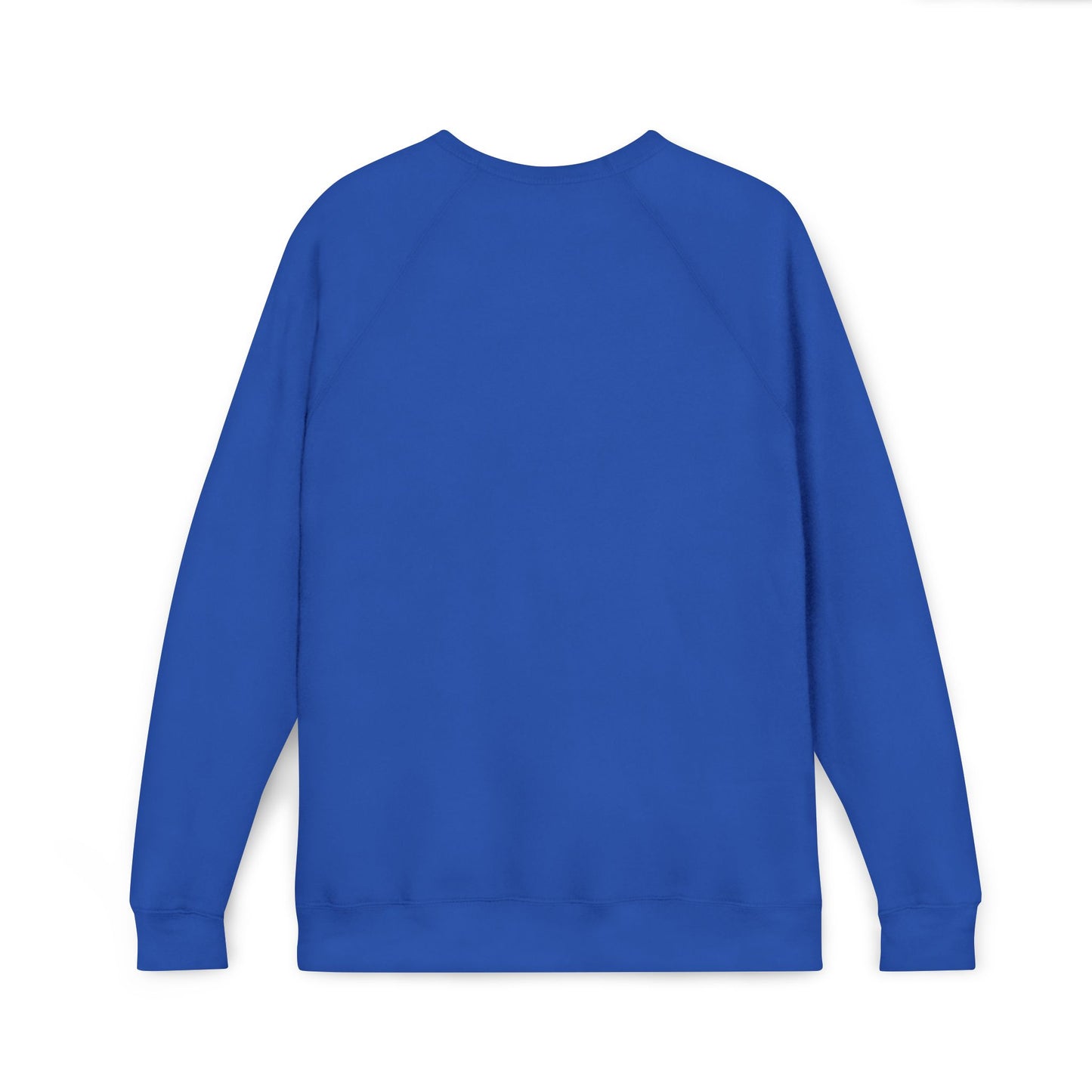 GODDESS INC Sponge Fleece Raglan Sweatshirt