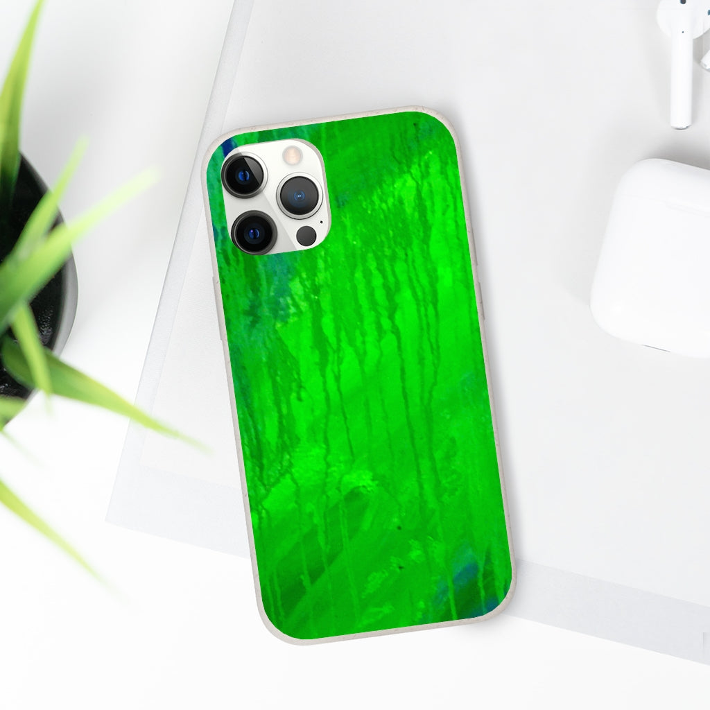 Biodegradable Case - Abstract