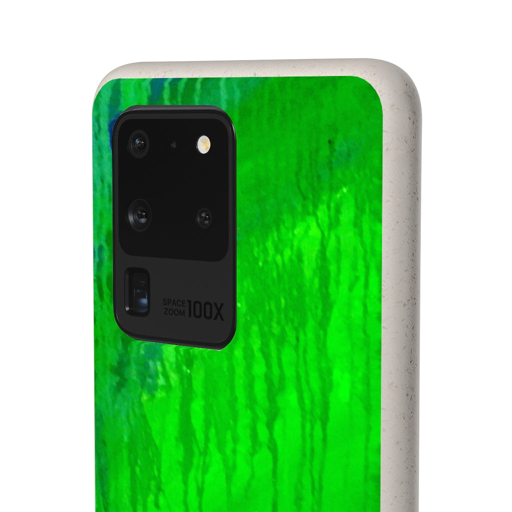 Biodegradable Case - Abstract