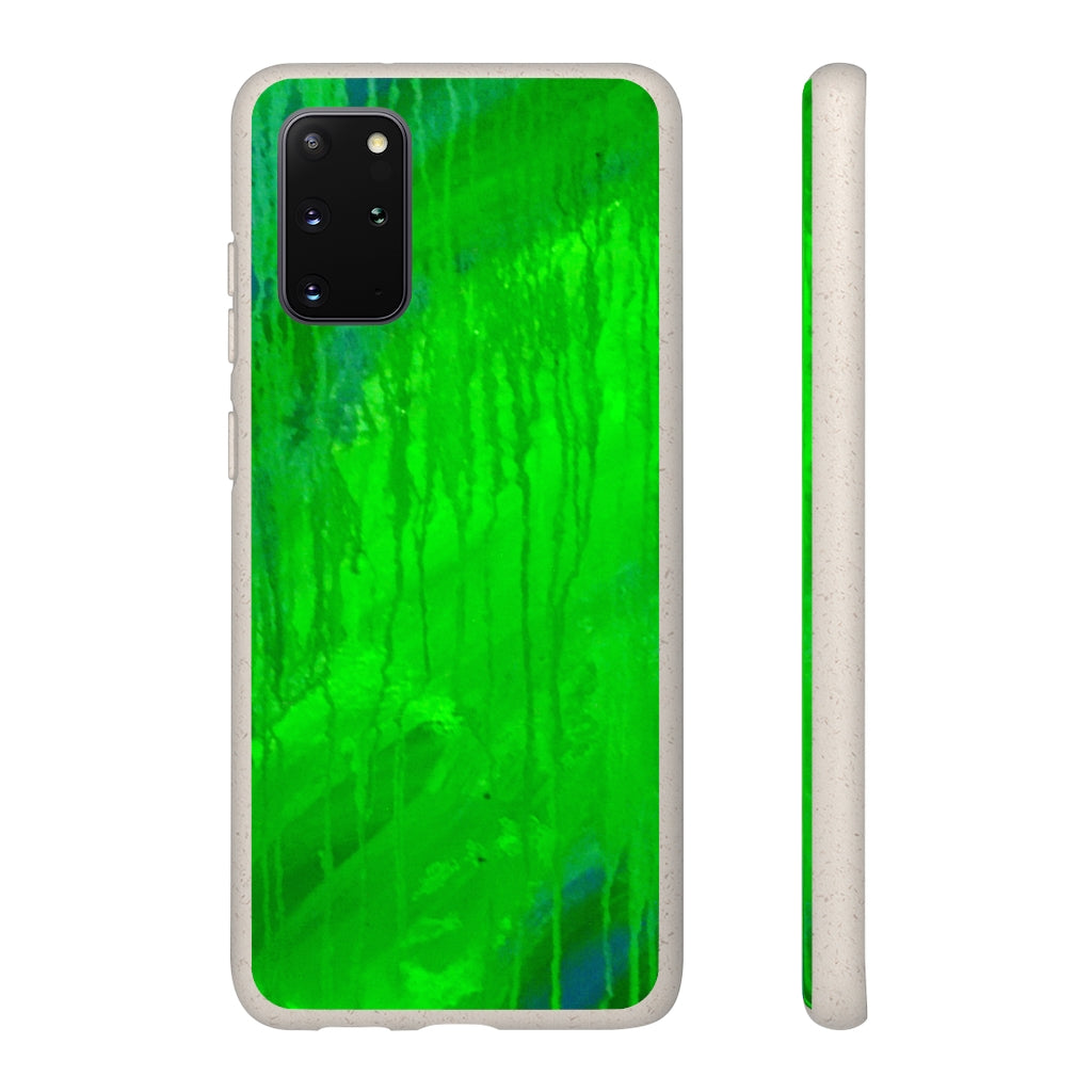 Biodegradable Case - Abstract